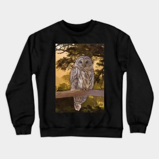 Tawny Owl Artwork Crewneck Sweatshirt